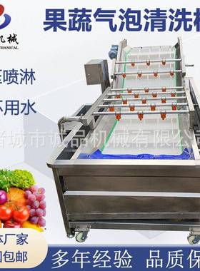 酸菜去盐气泡清洗机海带海鲜喷淋式清洗机大型梅干菜清洗机洗菜机