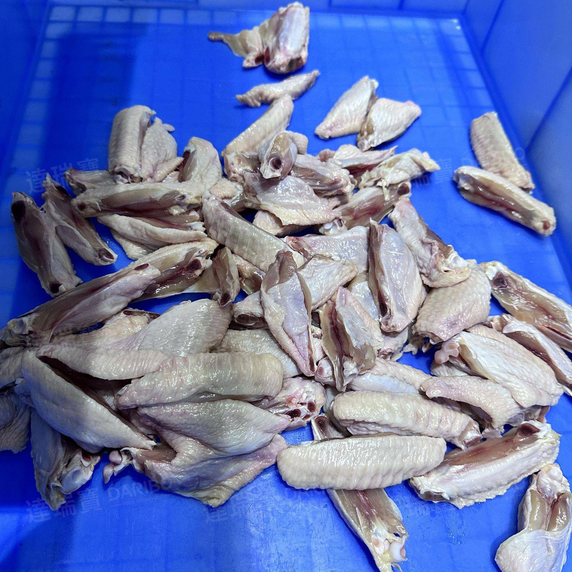 W鸡爪直线性分切机 厂家直供新款虎皮鸡爪鸡翅全自动分半机可试机