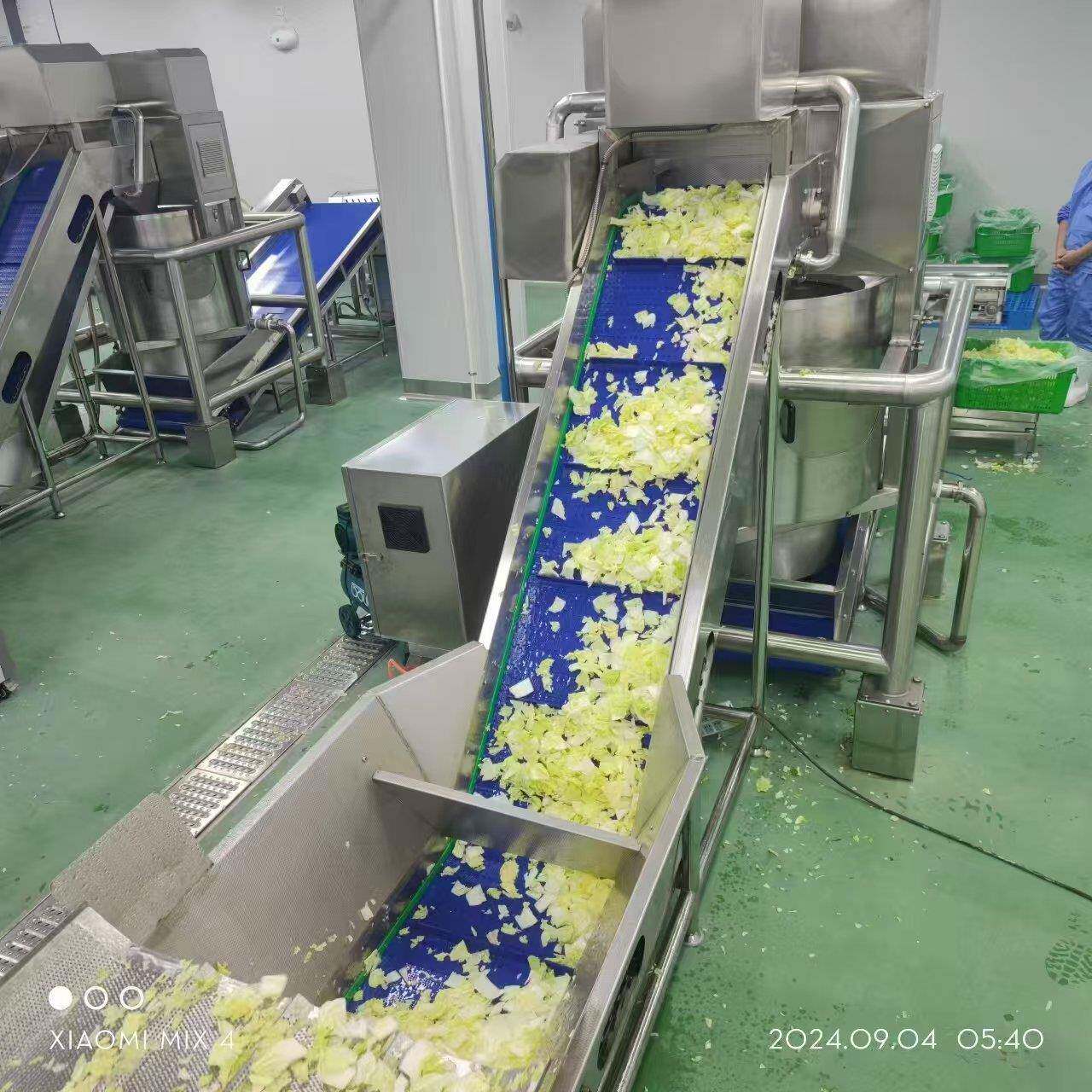 广西水笋气泡清洗机 笋干浸泡机 板栗清洗机 蔬菜气泡清洗机