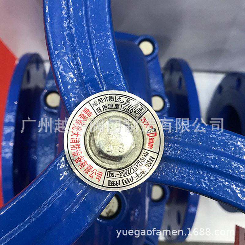 消防工程专用福建光大阀门铸铁法兰软密封闸阀Z45X-10P/16Q/25R