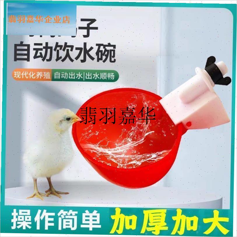 大号家禽饮水器养l殖水桶新款喂 鸡自动饮水器鸡鸭鸽子自动饮水,