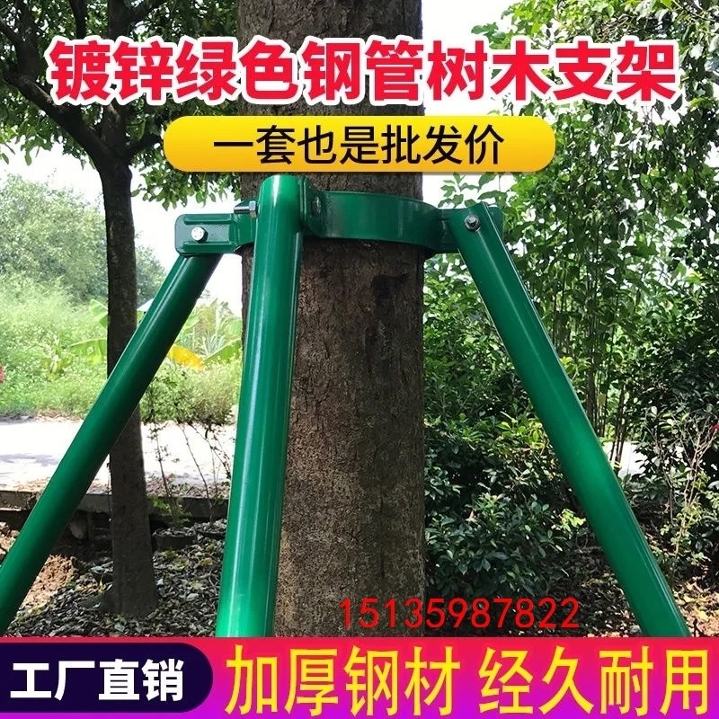 树木支撑架乔木防风抱箍绿色x大树支撑杆钢管固定器园林金属树支