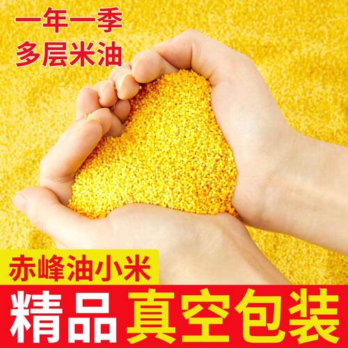 赤峰敖汉黄小米优质新米正宗新黄小米内蒙古养五谷杂粮杂粮旗舰店