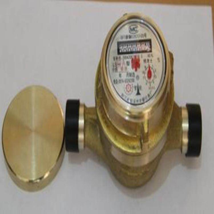 LS旋转活塞式流量计LS-6B-8B-10B-13B-15B-20B-25B不锈钢流量计