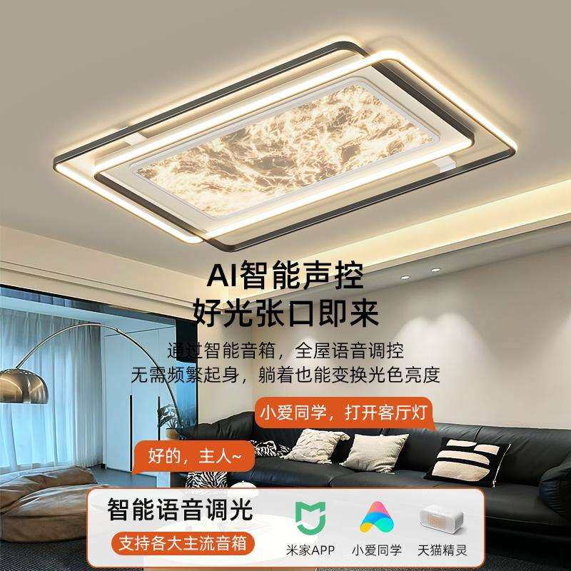 客厅主灯2024新款现代简约大气吸顶灯意式极简轻奢感大厅灯具,农机/农具/农膜,播种栽苗器/地膜机,淘宝优惠券,粉丝福利购,淘宝优惠卷