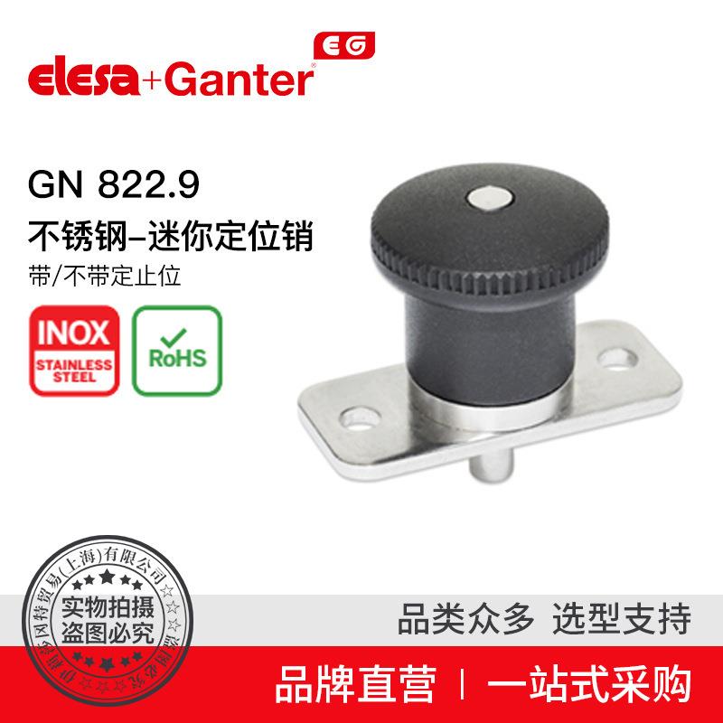 Elesa Ganter伊莉莎冈特 GN 822.9 不锈钢-迷你定位销