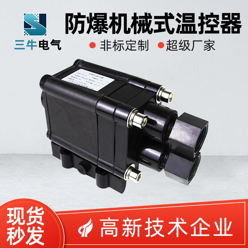 电热带电源接线盒电伴热专用防爆带灯电源接线盒温控器电源接线盒