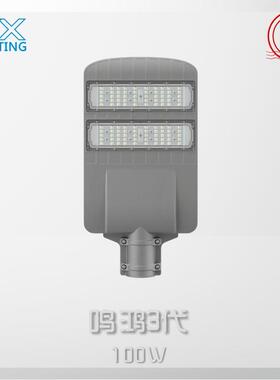 市政工程亮化模组压铸市电路灯头50W/100W/150W/200W/250WLED路灯