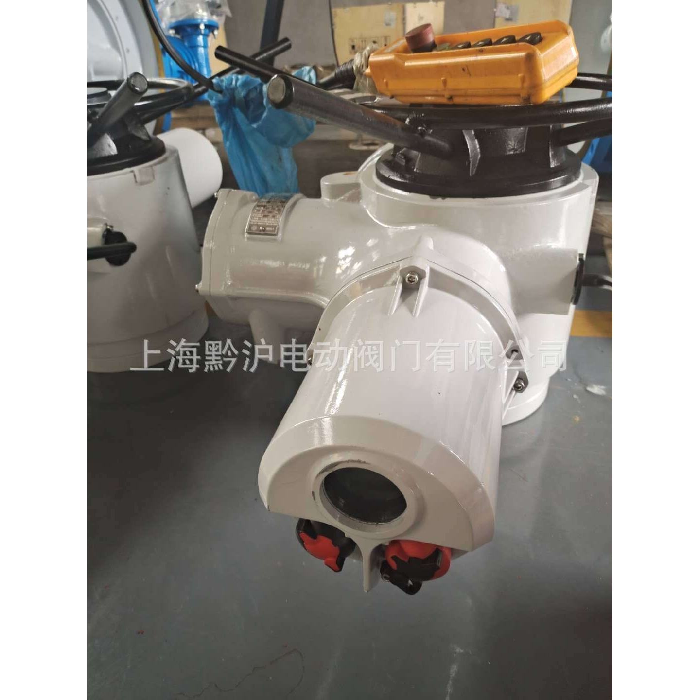 国产罗托克电动执行器 IQT20 200NM电动执行器