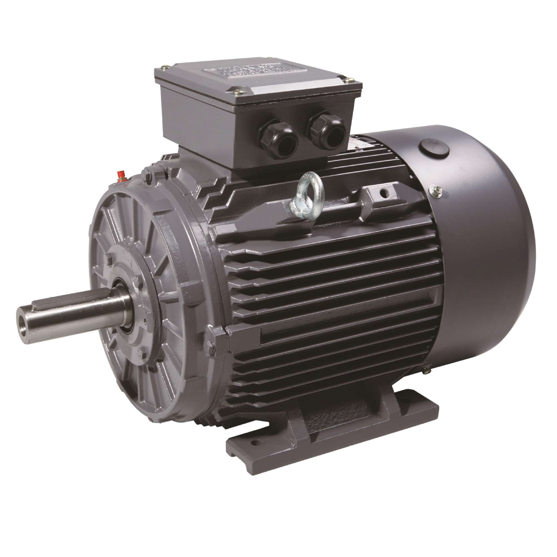 厂家直供全铜三相异步电机 YE3/YE4超高能效标准 UL/CE/CSA认证