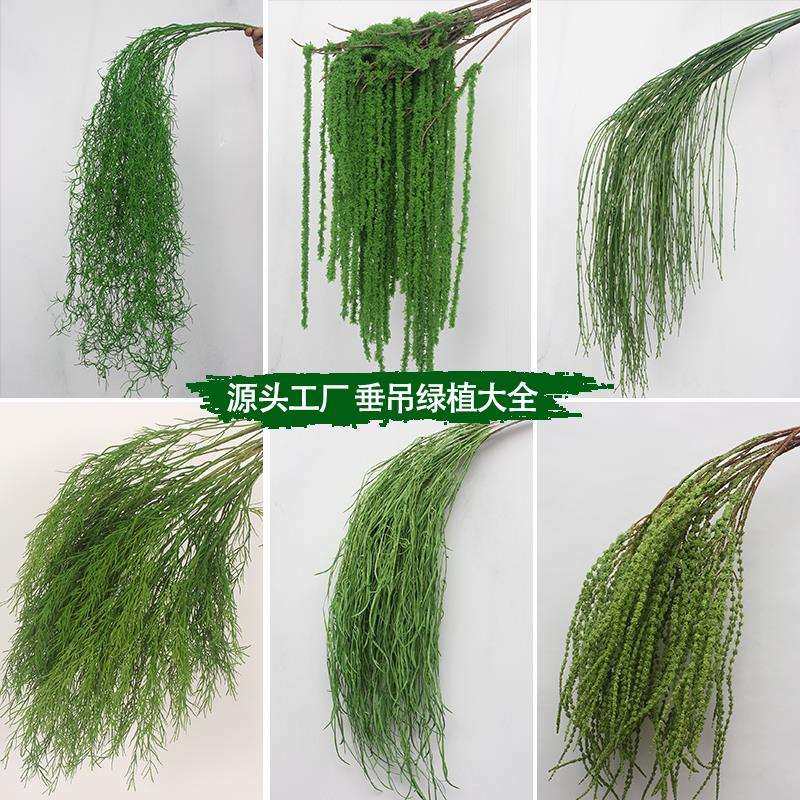 10枝装仿真绿植垂吊婚礼森系吊顶婚庆花材路引花芦荀草花排背景花,手表,配件,淘宝优惠券,粉丝福利购,淘宝优惠卷