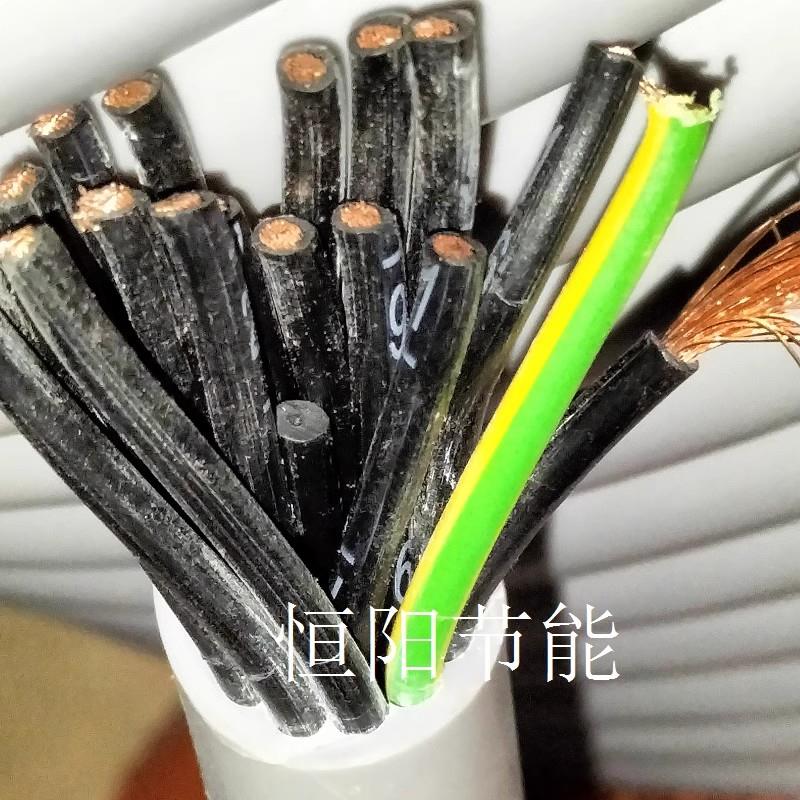 德国进口18芯2.5平方电缆线模具热流道电源线铜丝18G2.5 1119418