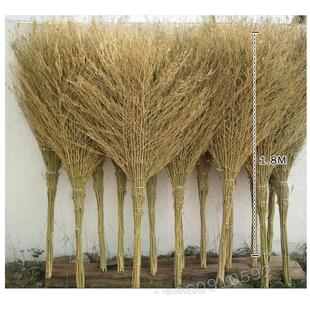 大扫把竹扫帚扫地马路庭院扫院子塑料丝家用大号单个竹子室外大街