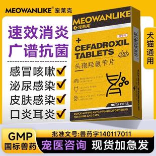 狗狗猫咪消炎药猫用口炎感冒咳嗽药尿路感染口腔耳朵宠物专用头孢