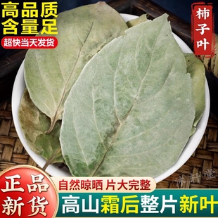 柿子叶中药材神农架野生干柿子叶粉新鲜干货霜后新荷叶白芥子山楂