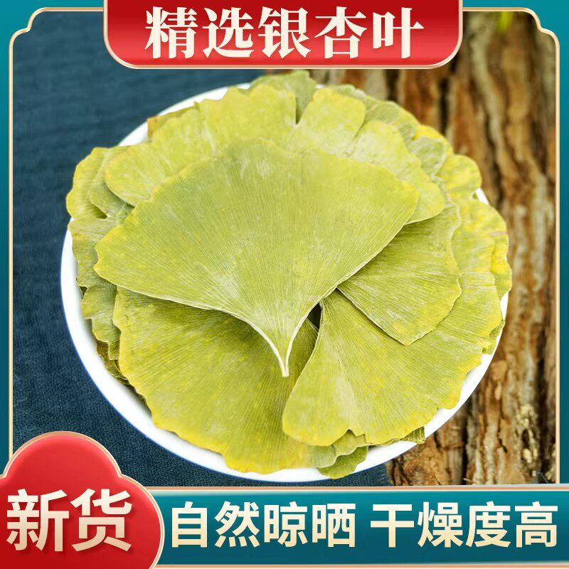 银杏叶中药材500g银杏叶茶正品新货白果树叶干银杏叶整片泡茶泡水