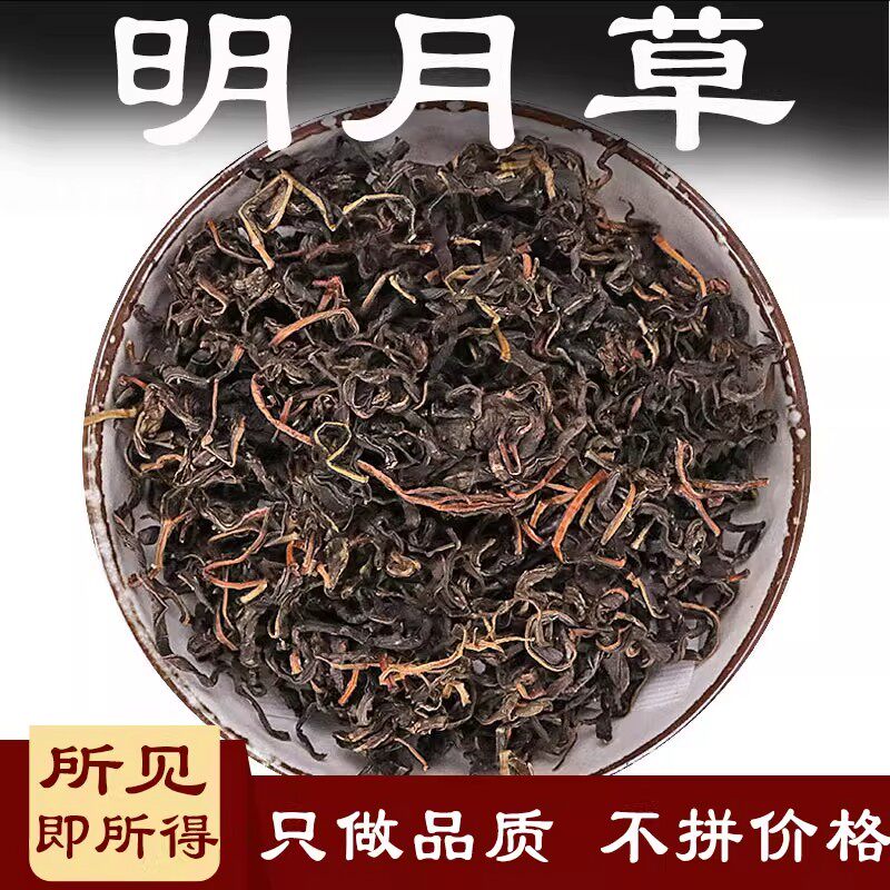 明月草中药材500克明月茶明月叶白背菜白子菜明日鸡毛菜明月草茶