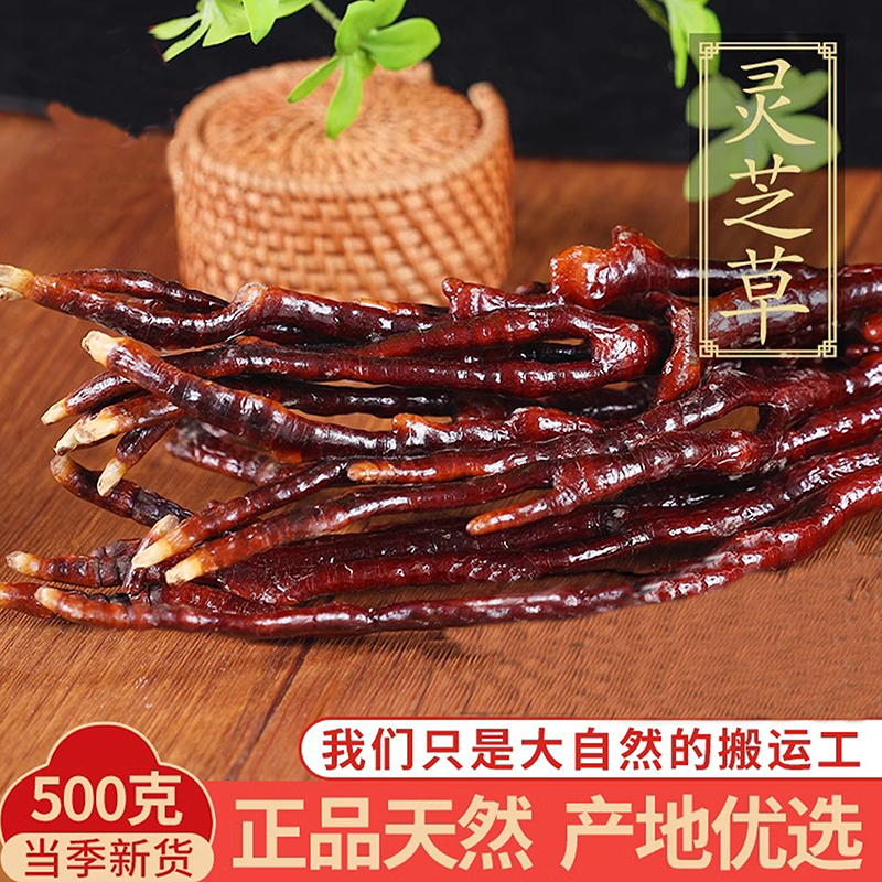 正宗灵芝草中药材长白山特产整枝赤灵芝鹿角灵芝片林芝500g