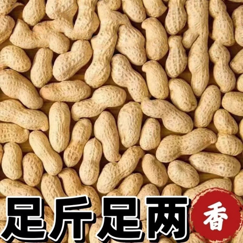 新货现炒现发铁锅原味炒花生特产柴火沙炒带壳花生