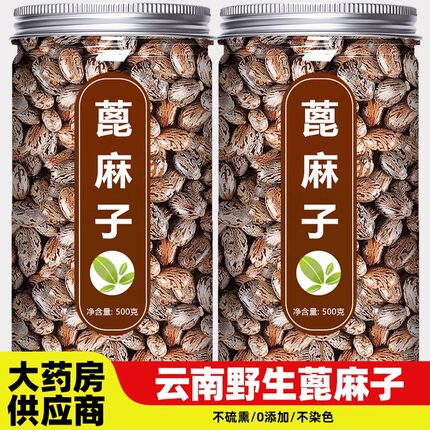 蓖麻籽中药材野生生蓖麻子种子新鲜冰蓖麻子仁大麻子麻籽大颗粒粉