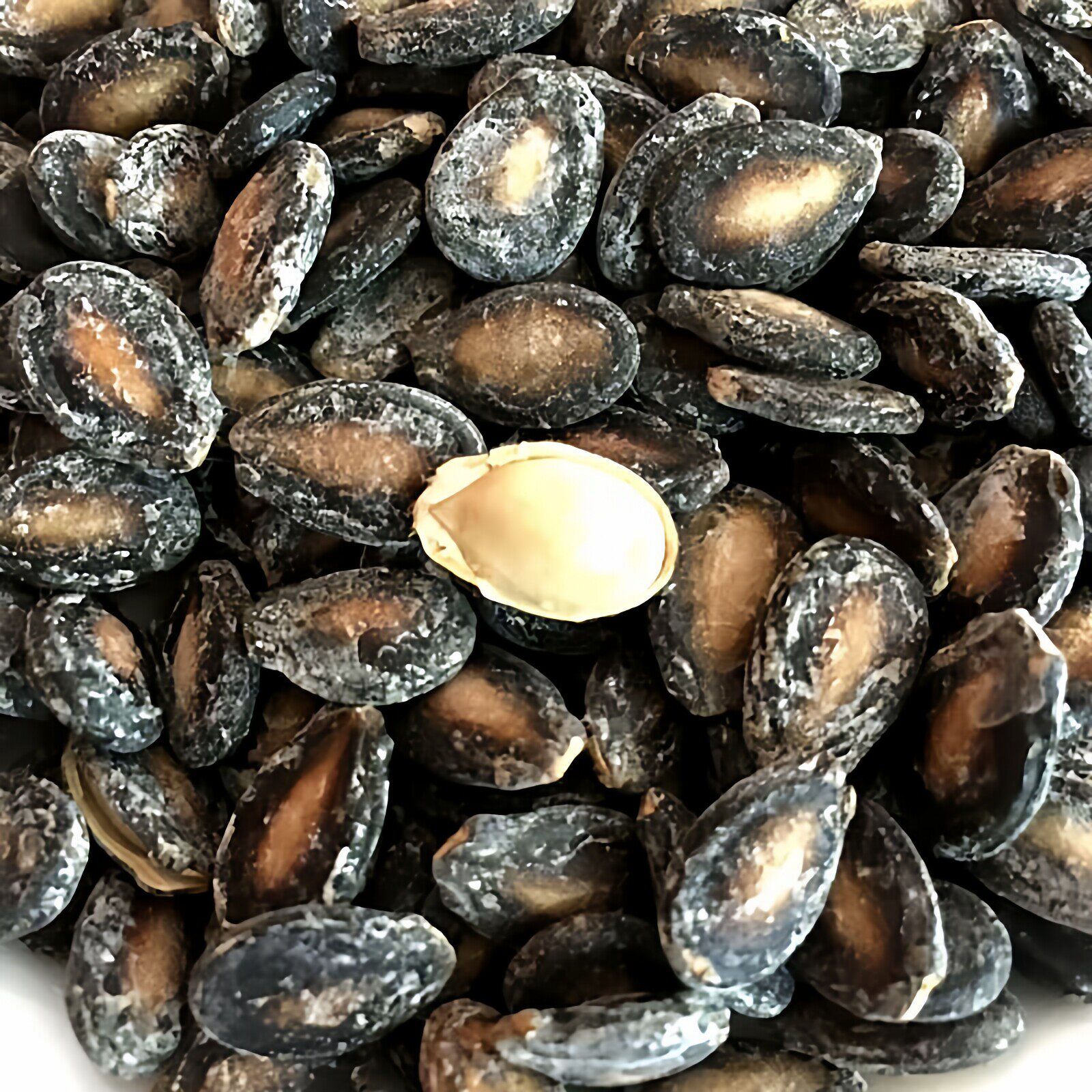 新货特产瓜子 大椒盐西瓜子500g 中大粒西瓜籽 咸味瓜子 包邮