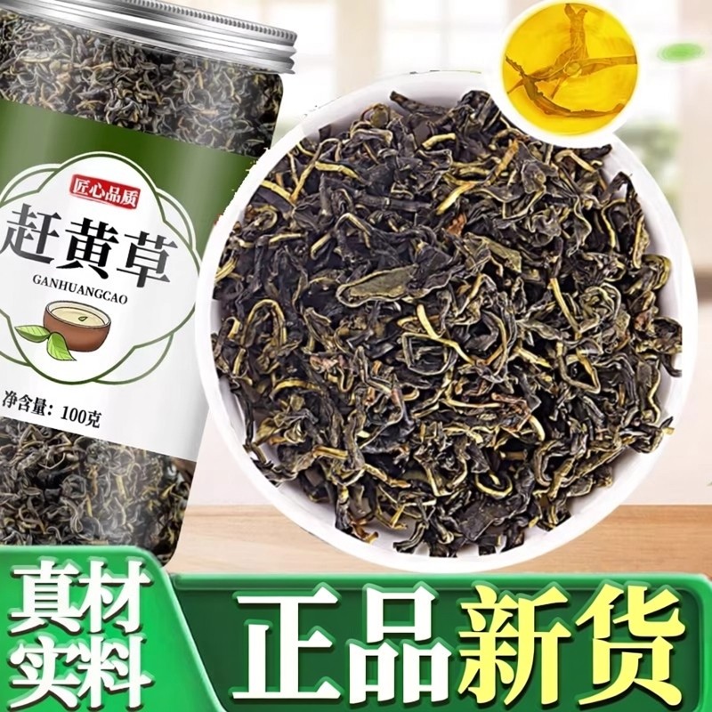 赶黄草官方旗舰店四川古蔺野生护肝袋泡茶乌蒙山头茬溪黄草扯根菜