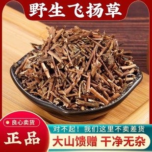 飞扬草中药材500g野生大飞扬草洗澡新鲜高含量正品节节花中草药