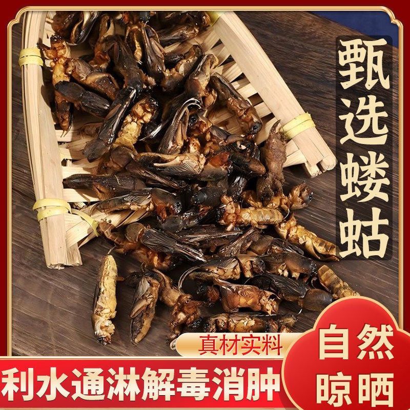 蝼蛄中药500g正品野生新货蝲蝲蛄土狗地狗干蝼蛄蝼蝈地牯牛牯牛干