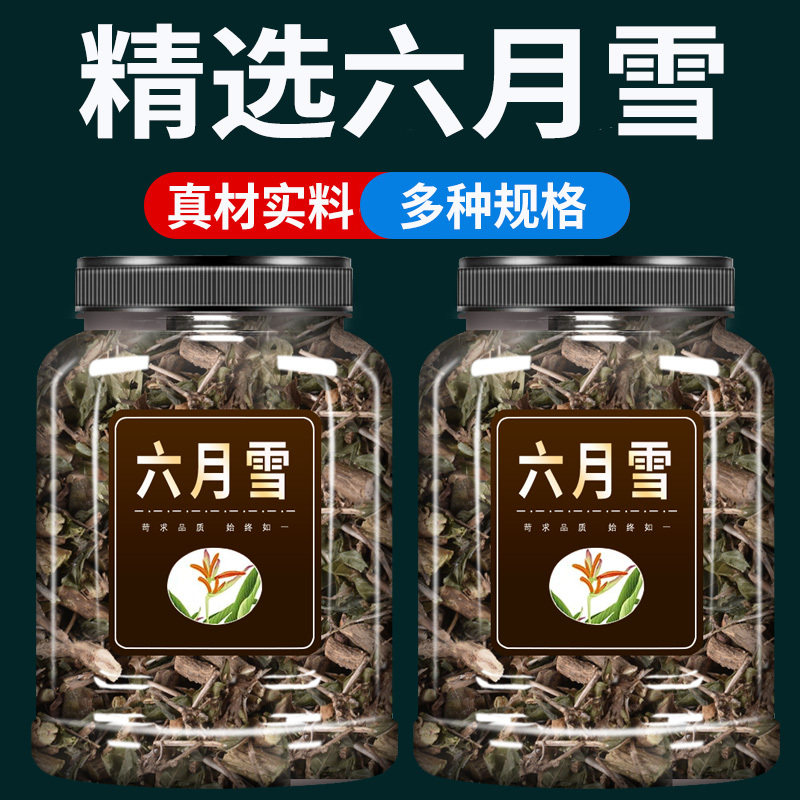 六月雪中药500g白马骨中草药材正品无硫六月寒凉茶新鲜野生路边荆