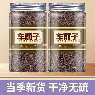 车前子中药材100/250/500/正品官方旗舰店四川野生车前籽粉泡水茶
