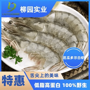 柳园厄瓜多尔南美白虾20-30规格