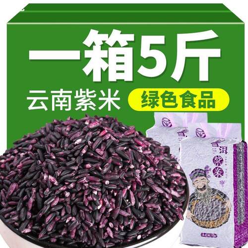 云南特产墨江紫米当季新米正宗老