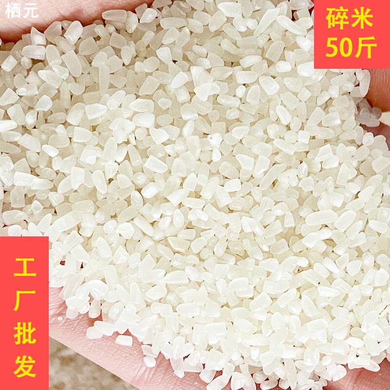 散装碎米50斤25kg粥米干净无杂质低价米窝料米粳米