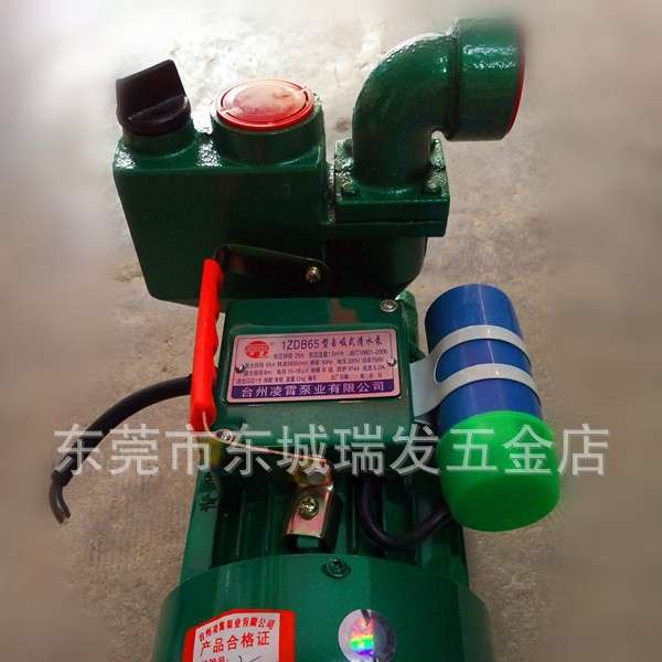 750瓦台州凌宵青宵自吸式清水泵1ZDB-65型自吸泵增压泵自吸泵青宵