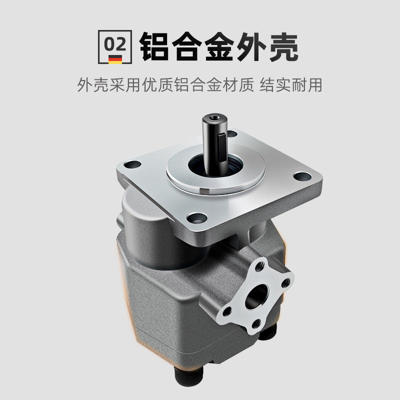 极速高压液压齿轮油泵总成GPY qHGP-2A-F2R/3R/4R/5R/6/8/9/10/11,标准件/零部件/工业耗材,液压泵,淘宝优惠券,粉丝福利购,淘宝优惠卷