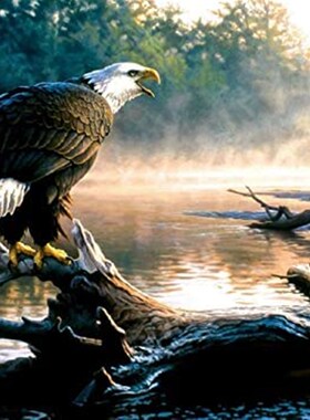 极速Scouting The River 1000 Piece Jigsaw Puzzle by YSunsOut