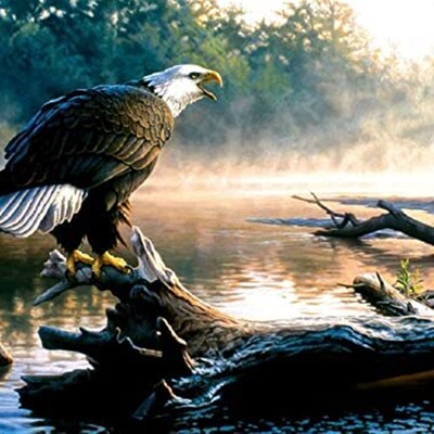 极速Scouting The River 1000 Piece Jigsaw Puzzle by YSunsOut