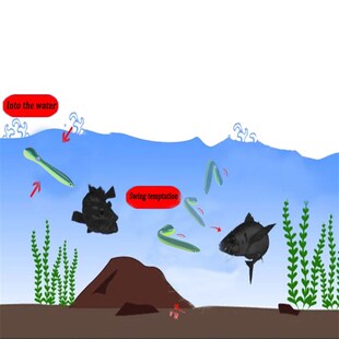 极速5/10pcs Sijlicone Soft Bait 10cm 6g Wobbler for Bass/Pik