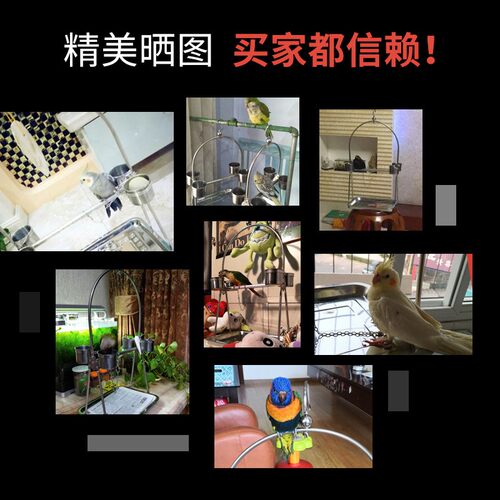新品不锈钢鹦鹉站架m中小型玄凤虎皮牡丹伯劳鸟架脚环脚链套餐训