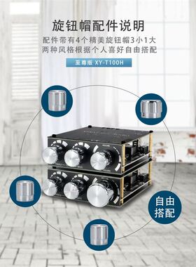 极速XY-T100H蓝牙5.r0带I前级高低音调节立体声数字功放板模块100