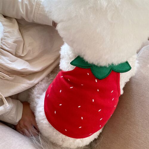 极速韩版insh草莓吊带小狗狗衣服夏季薄款宠物泰迪比熊猫咪小型犬