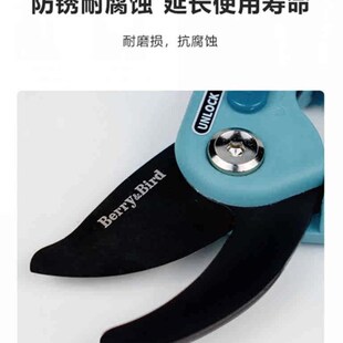 修枝剪 2I0MM以内枝条修剪 园艺盆景剪 花枝 英国品 粗枝剪刀 新品