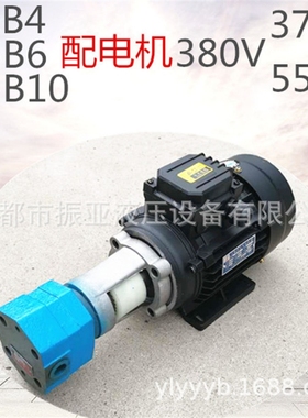 极速BB-B4JZ BBm-B6JZ BB-B10JZ摆线齿轮油泵BB-BN内泄漏转子泵电