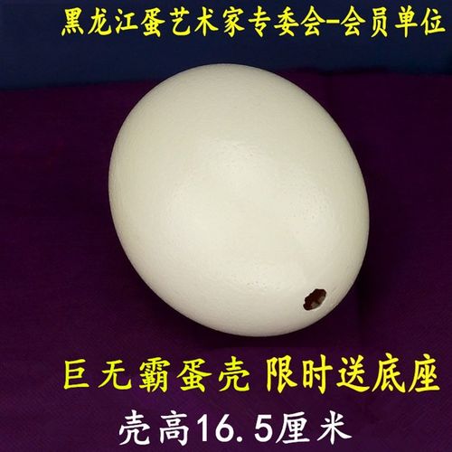 天然大号鸵鸟蛋壳工艺品雕刻DIY原材料驼鸟蛋壳恐龙蛋复活节彩蛋