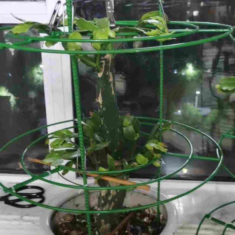 蟹爪兰花架大号开口圈多层花卉架火龙果叶仙开口支架铁制品不风化