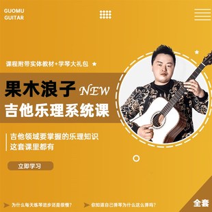 果木浪子 乐理系统课 一对一答疑指导