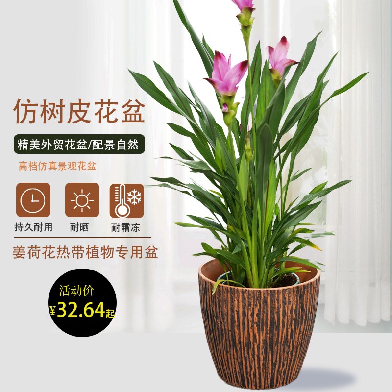 加厚树脂枯木花盆仿树皮加厚树脂盆百搭各种环境