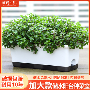 阳台室内蔬菜种植箱自吸水特大菜盆塑料花盆长方形加厚家庭种植箱