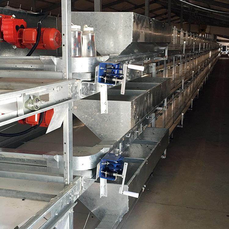 种鸡料线种鸡刮板喂料系统料线多层喂料系统南非刮板厂家直供,畜牧/养殖物资,畜牧/养殖器械,淘宝优惠券,粉丝福利购,淘宝优惠卷