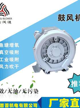 深鼓2SG410-7AA21,高压风机,旋涡气泵， 真空泵，鼓风机